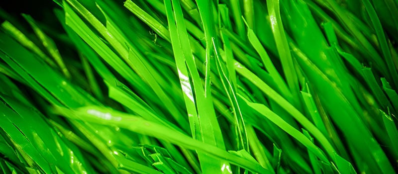 Turf Distributors artificial grass product Hybrid 59 04