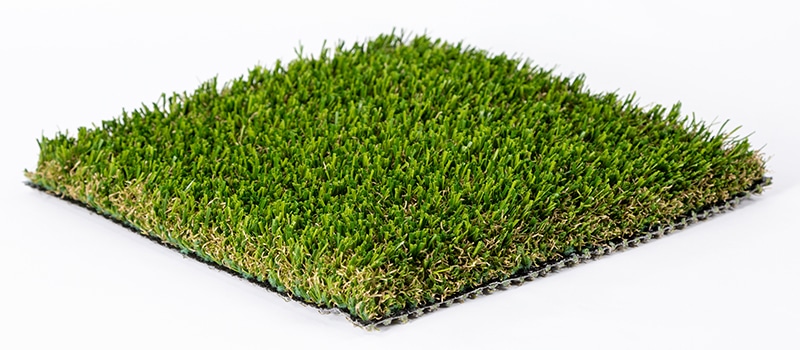 Turf Distributors Perfect 80